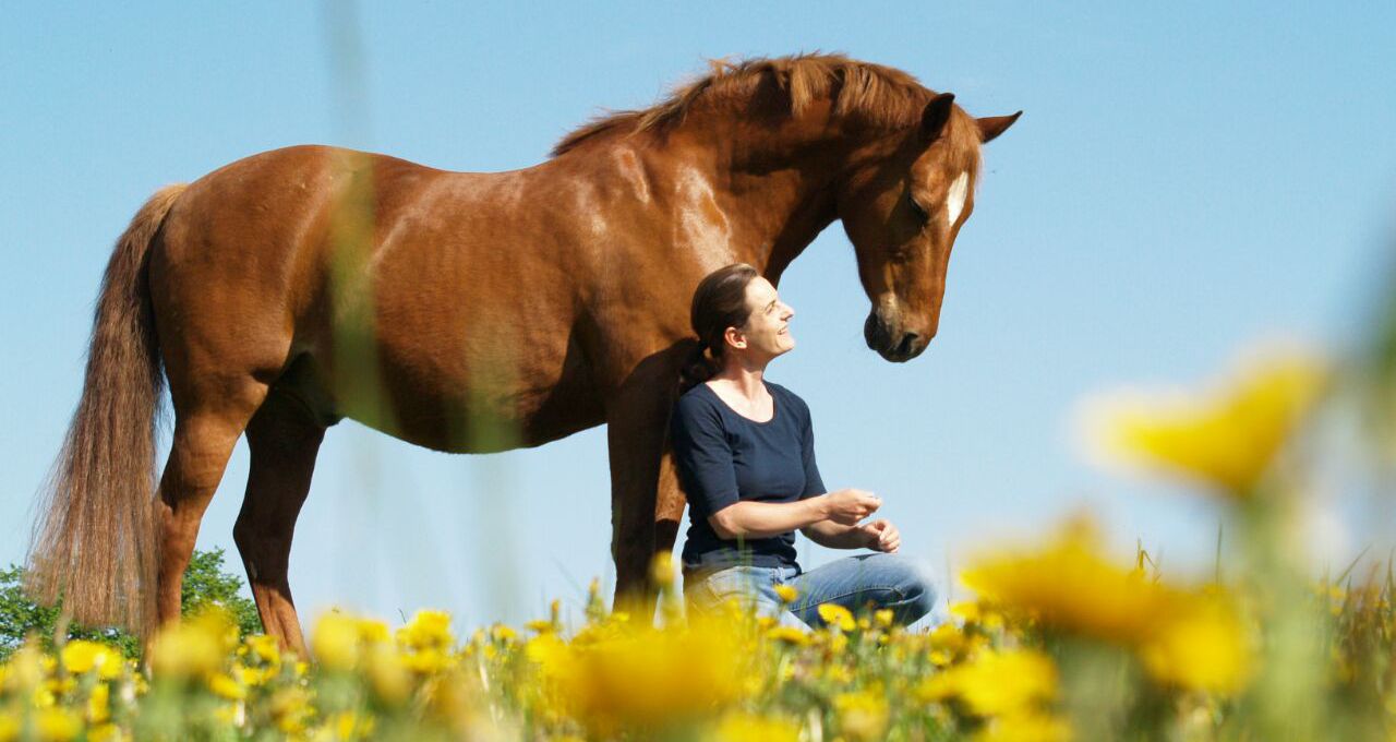 Saskia_Westphal TPT-Tierphysiotherapie Saskia Westphal und Pony Sammy